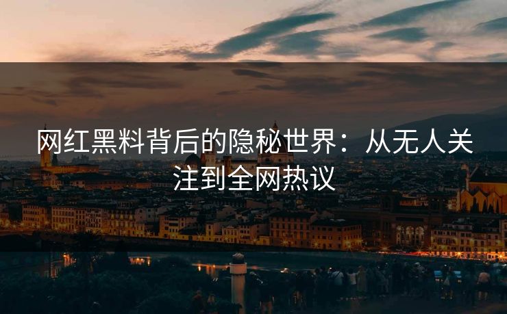 网红黑料背后的隐秘世界：从无人关注到全网热议