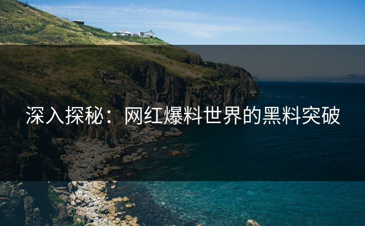 深入探秘：网红爆料世界的黑料突破