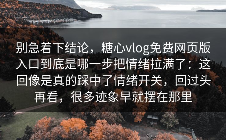 别急着下结论，糖心vlog免费网页版入口到底是哪一步把情绪拉满了：这回像是真的踩中了情绪开关，回过头再看，很多迹象早就摆在那里