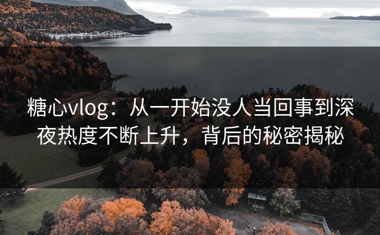 糖心vlog：从一开始没人当回事到深夜热度不断上升，背后的秘密揭秘