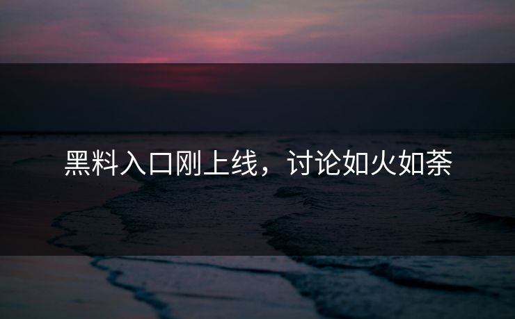 黑料入口刚上线，讨论如火如荼