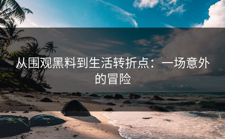 从围观黑料到生活转折点：一场意外的冒险