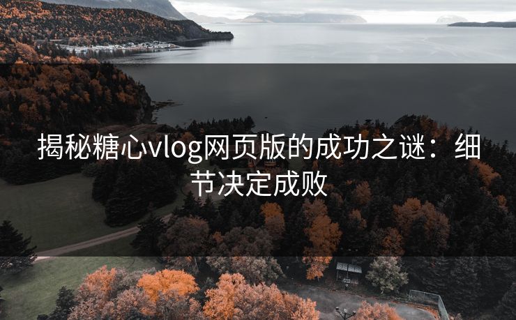 揭秘糖心vlog网页版的成功之谜：细节决定成败